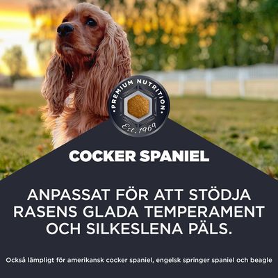 Cocker Spaniel. Anpassad för att stödja temperamentet och den silkeslena pälsen. Passar även amerikansk cocker spaniel, engelsk springer spaniel och beagle.