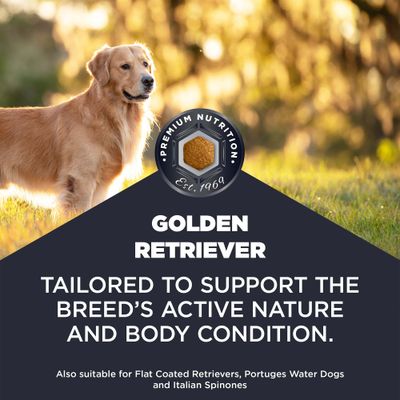 <h1>Premium Nutrition Est. 1969. Golden Retriever</h1>
<p>Špeciálne prispôsobené aktívnej povahe a kondícii zlatého retrievera. Ideálne pre plnohodnotnú výživu, podporuje zdravie a vitalitu vášho psa.</p>