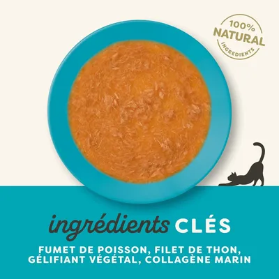 Lot économique Applaws Bouillon d’os 48 x 85 g - thon