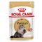 Royal Canin Persian Adult mousse 12 x 85 g