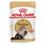 Royal Canin Persian 24 x 85 g