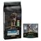 PURINA PRO PLAN 12 / 14 kg + friandises Dental Care 345 g ou 426 g offertes ! Large Adult Robust Sensitive Digestion agneau, riz (14 kg) + Dental Care pour grand chien (25-40 kg)(426 g)
