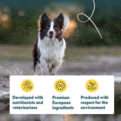 Kehitetty ravitsemusasiantuntijoiden ja eläinlääkäreiden kanssa, eurooppalaiset premium-raaka-aineet, valmistettu ympäristöä kunnioittaen.