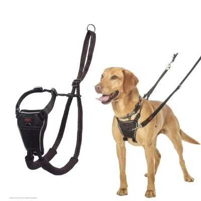 Pettorina nera per cani con guinzaglio, mostrata sia indossata da un cane marrone che come prodotto singolo. Materiale visibile: tessuto e plastica.