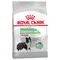 Royal Canin Medium Digestive Care - dog dry food 3kg