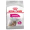 Royal Canin Mini Exigent pour chien 3 kg