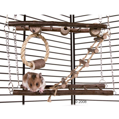 Accessoire suspendu pour rongeur en bois et corde, avec échelle, anneau et plateformes. Hamster visible sur la plateforme dans une cage à barreaux métalliques. Accessoire suspendu pour rongeur en bois et corde, avec échelle, anneau et plateformes. Hamster visible sur la plateforme dans une cage à barreaux métalliques.