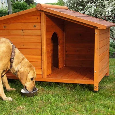 Holzhundehütte mit schrägem Dach und Eingang. Hund trinkt aus einem Napf vor der Hütte auf einer grünen Wiese.