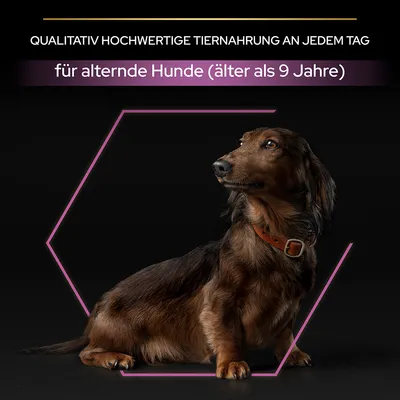 Qualitativ hochwertige Tiernahrung für alternde Hunde (älter als 9 Jahre).