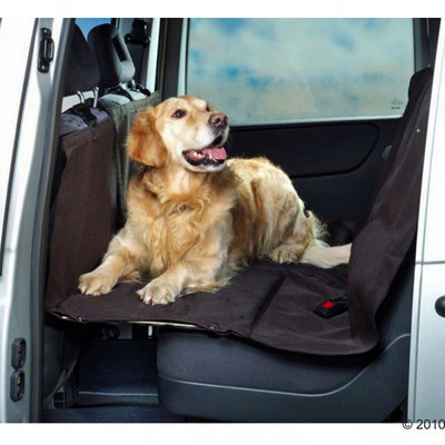Hund sitzt auf einer Autositzabdeckung, die den Rücksitz schützt. Abdeckung in dunkler Farbe mit Sicherheitsgurthalterung sichtbar.