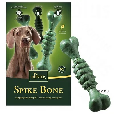 Hunter Spike Bone M, os à mâcher vert avec menthe, soin dentaire, sans arômes ni colorants artificiels, haleine fraîche. Texte en anglais et allemand visible sur l’emballage.