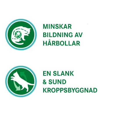 MINSKAR BILDNING AV HÅRBOLLAR. EN SLANK & SUND KROPPSBYGGNAD.