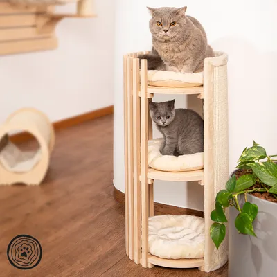Kratzbaum aus Holz mit drei Ebenen, zwei Katzen sitzen auf den gepolsterten Liegeflächen. Seitlich Sisal-Kratzfläche sichtbar.