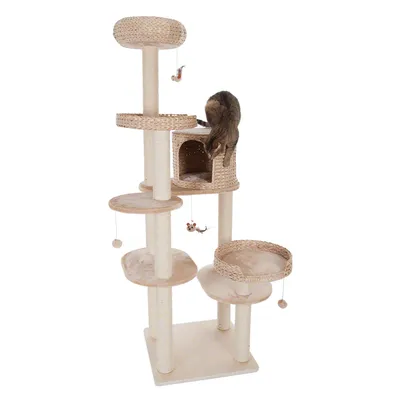 Kratzbaum aus hellem Material mit mehreren Ebenen, Höhle und Spielzeuganhängern. Katze erkundet die Höhle.