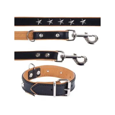Collier et laisse pour chien en cuir noir et beige, ornés de rivets et d’étoiles métalliques argentées, boucles et mousquetons en métal visibles.