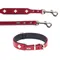 HUNTER Set: Halsband Swiss + Hundeleine Swiss Halsband Größe 60 + Leine 200 cm, 18 mm