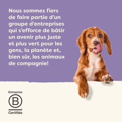 Entreprise certifiée B. Engagement pour un avenir plus juste et plus vert pour les personnes, la planète et les animaux de compagnie.