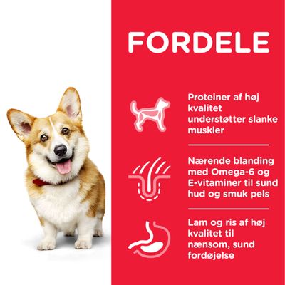 FORDELE: Proteiner af høj kvalitet understøtter slanke muskler. Nærende blanding med Omega-6 og E-vitaminer til sund hud og smuk pels. Lam og ris af høj kvalitet til nænsom, sund fordøjelse.