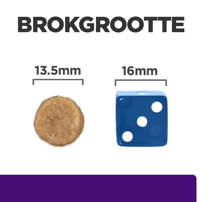 Brokgrootte: ronde brok van 13,5 mm naast blauwe dobbelsteen van 16 mm ter vergelijking. Tekst 'BROKGROOTTE' bovenaan zichtbaar.
