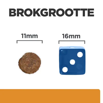 Brokgrootte: links een brok van 11 mm, rechts een blauwe dobbelsteen van 16 mm ter vergelijking. Tekst 'BROKGROOTTE' bovenaan zichtbaar.