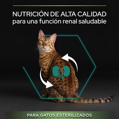Nutrición de alta calidad para una función renal saludable. Para gatos esterilizados. Imagen de un gato con icono de riñones y flechas en el cuerpo.