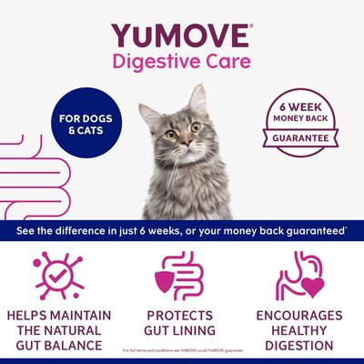 YuMOVE Digestive Care for dogs and cats. Six week money back guarantee. Helps maintain gut balance, protects gut lining, encourages healthy digestion. See results in six weeks or money back.