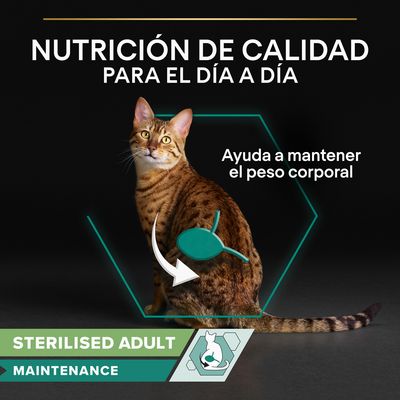 Nutrición de calidad para el día a día. Ayuda a mantener el peso corporal. STERILISED ADULT MAINTENANCE.