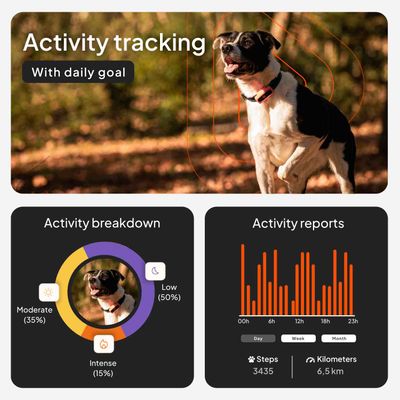 Weenect Pet GPS Tracker XS dla psów