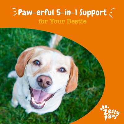 Text reads: Paw-erful 5-in-1 Support for Your Bestie. Zesty Paws branding shown.