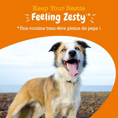 Texte en anglais : Keep Your Bestie Feeling Zesty. Texte en français : Une routine bien-être pleine de peps !