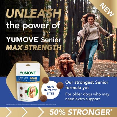 YUMOVE Senior Max Strength joint care for senior dogs, now in tasty bites. Our strongest senior formula yet, for older dogs who may need extra support. 50% stronger.