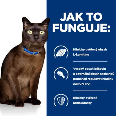 Jak to funguje: Klinicky ověřený obsah L-karnitinu, vysoký obsah bílkovin a optimální obsah sacharidů, klinicky ověřené antioxidanty. Hnědá kočka s modrým obojkem.