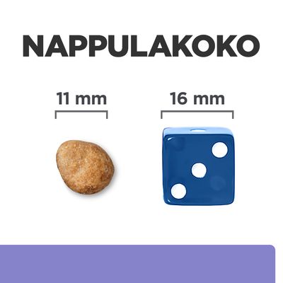 Hill's Prescription Diet z/d low fat ruoka herkkyyksille, eläinlääkärien suosittelema, ActivBiome+ -teknologialla.