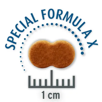 Krokiet z napisem 'Special Formula X', wielkość 1 cm, pokazany z miarką.