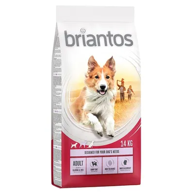 Confezione di crocchette per cani briantos Adult con salmone e riso, 14 kg. Testo visibile: designed for your dog's needs, shiny coat, high tolerance, made in Germany.