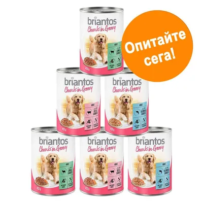 6 консерви briantos Chunks in Gravy 415 г за кучета, различни вкусове. Оранжев кръг с текст: Опитайте сега! Видими икони за животински протеин и моркови.