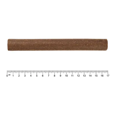 Bâtonnet marron pour animal de compagnie, longueur environ 16 cm, présenté au-dessus d’une règle graduée en centimètres de 0 à 17 cm.