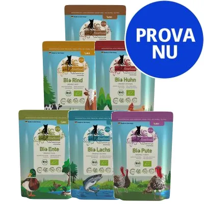 Sex påsar catz finefood kattmat: Bio Rind, Bio Huhn, Bio Ente, Bio Lachs, Bio Pute. Blå cirkel med texten PROVA NU. Sex påsar catz finefood kattmat: Bio Rind, Bio Huhn, Bio Ente, Bio Lachs, Bio Pute. Blå cirkel med texten PROVA NU.