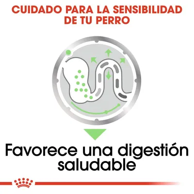 Cuidado para la sensibilidad de tu perro. Favorece una digestión saludable.