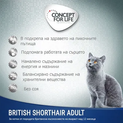 Concept for Life British Shorthair Adult. В подкрепа на здравето на пикочните пътища, сърцето, намалено съдържание на енергия и мазнини, без соя. За британска късокосместа котка над 12 месеца.