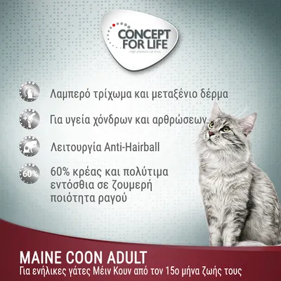 CONCEPT FOR LIFE. Λαμπερό τρίχωμα και μεταξένιο δέρμα, για υγεία χόνδρων και αρθρώσεων, λειτουργία Anti-Hairball, 60% κρέας. MAINE COON ADULT για ενήλικες γάτες Μέιν Κουν από τον 15ο μήνα.