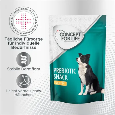 CONCEPT FOR LIFE PREBIOTIC SNACK CHICKEN, texte en allemand : soins quotidiens pour besoins individuels, flore intestinale stable, poulet facile à digérer. Texte anglais et allemand visibles.