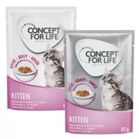 Míchané výhodné balení Concept for Life želé & omáčka 24 x 85 g - Kitten v omáčce a želé