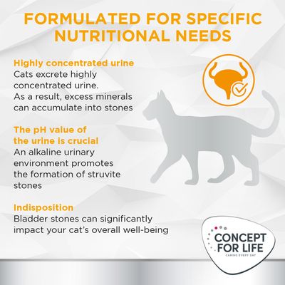Formulated for specific nutritional needs: highly concentrated urine can cause stones, pH value is crucial as alkaline urine forms struvite stones, bladder stones affect cat well-being.