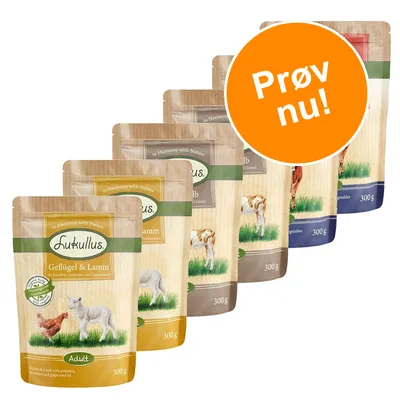 Flere poser Lukullus hundefoder, synlig variant Geflügel & Lamm 300 g. Orange cirkel med teksten 'Prøv nu!'.