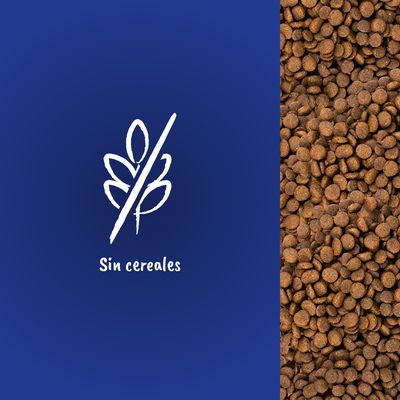 Texto visible: Sin cereales, con símbolo de espiga tachada. Pienso marrón a la derecha. Indica que el producto no contiene cereales.