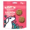 Lily's Kitchen Reel Tempting Salmon Fishcakes with White Fish 70g