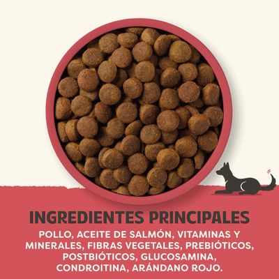 Ingredientes principales: pollo, aceite de salmón, vitaminas y minerales, fibras vegetales, prebióticos, postbióticos, glucosamina, condroitina, arándano rojo.