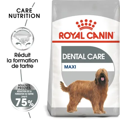 Royal Canin Dental Care Maxi, réduit la formation de tartre, résultats prouvés réduction du tartre jusqu’à 75 %, sac avec illustration d’un grand chien à poil long.