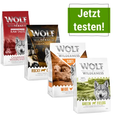 Wolf of Wilderness Hundefutter: Canadian Woodland, Rocky Canyon, Wide Soft und Green Fields. Jetzt testen!